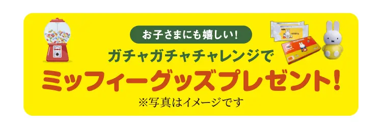 ミッフィーグッズプレゼント